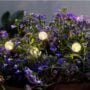 Solar Sphere Light Stakes – Warm White